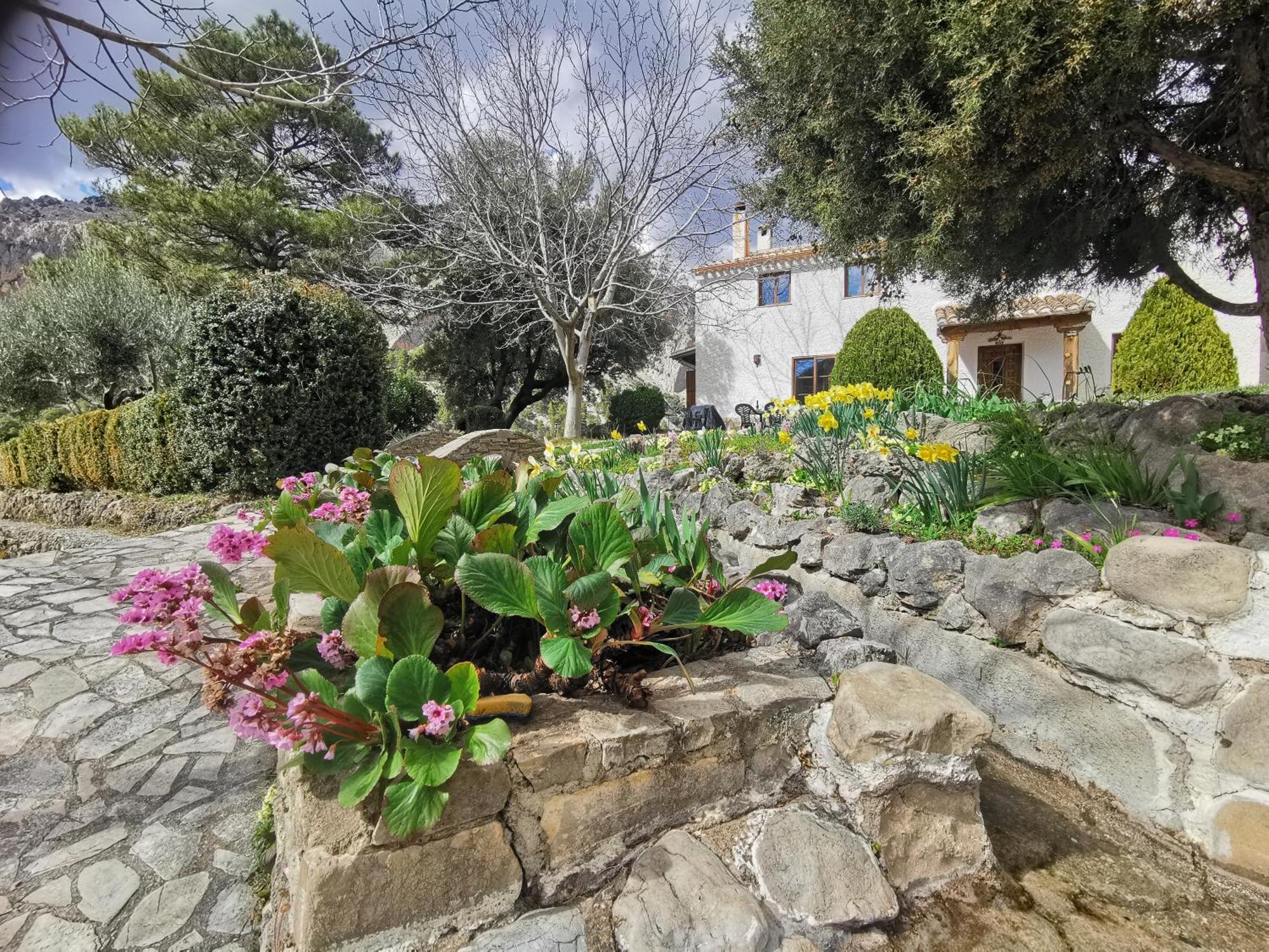 Saluda Alta Guest House Castril Exterior foto
